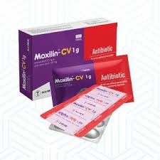 moxilin-cv-1-gm